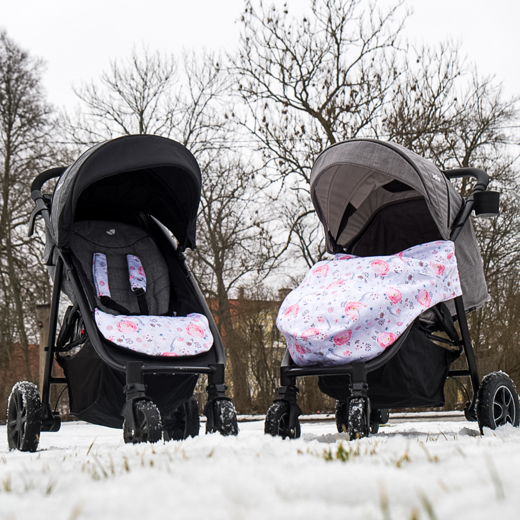 Sannale jalakate Joie Mytrax kärule