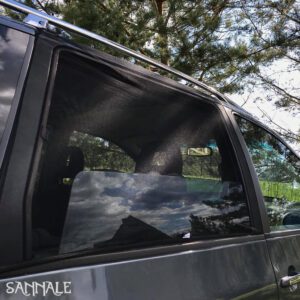 Putukavõrk auto aknale