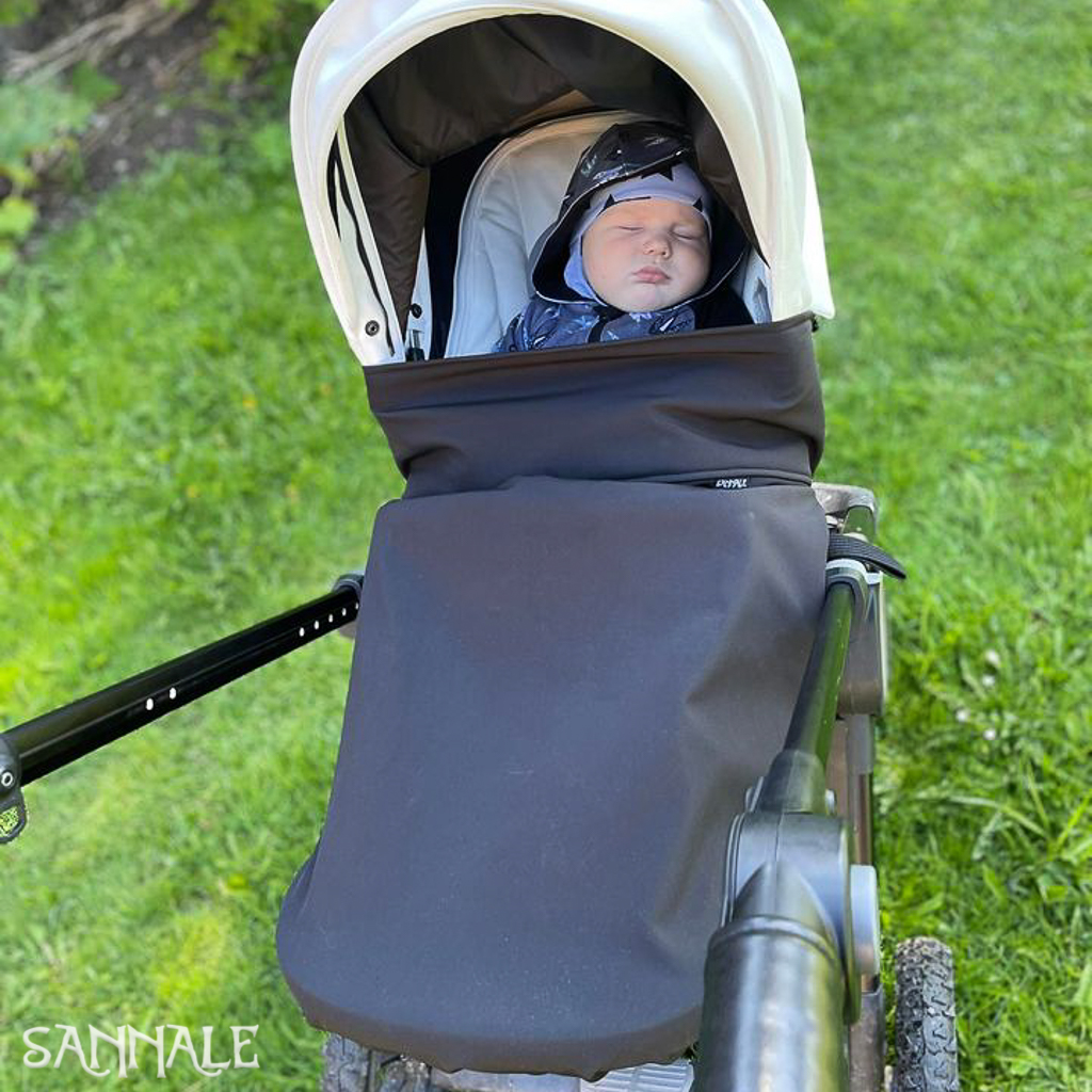 Sannale jalakate Emmaljunga NXT90 jalutuskärule