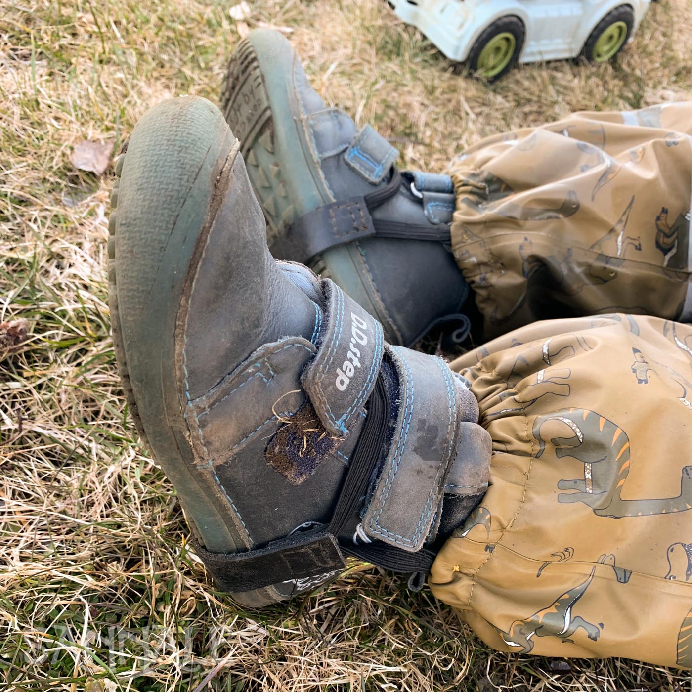 tallakummid-1 tallakummid