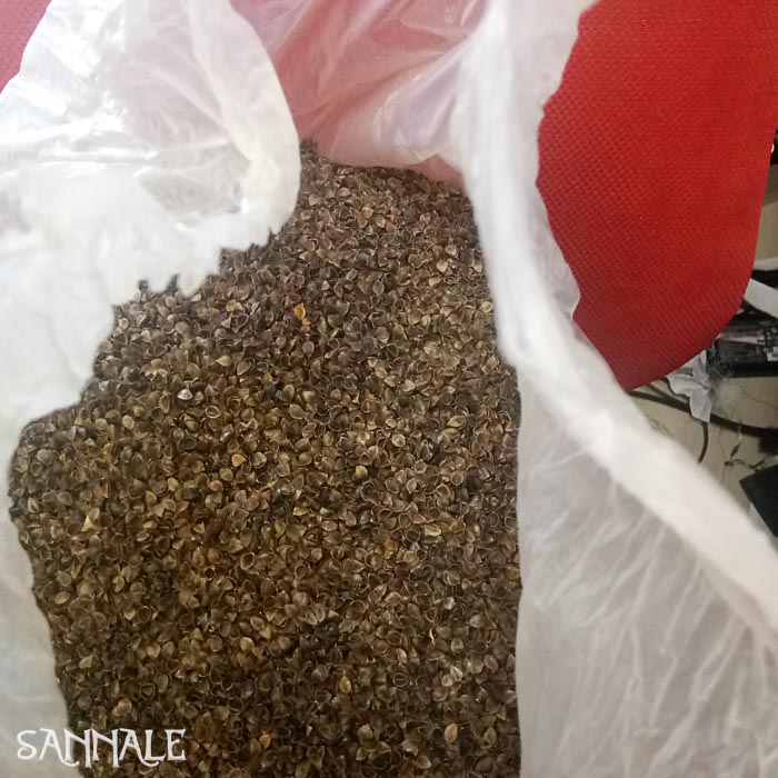 Beebi tugipadi eritellimus-74