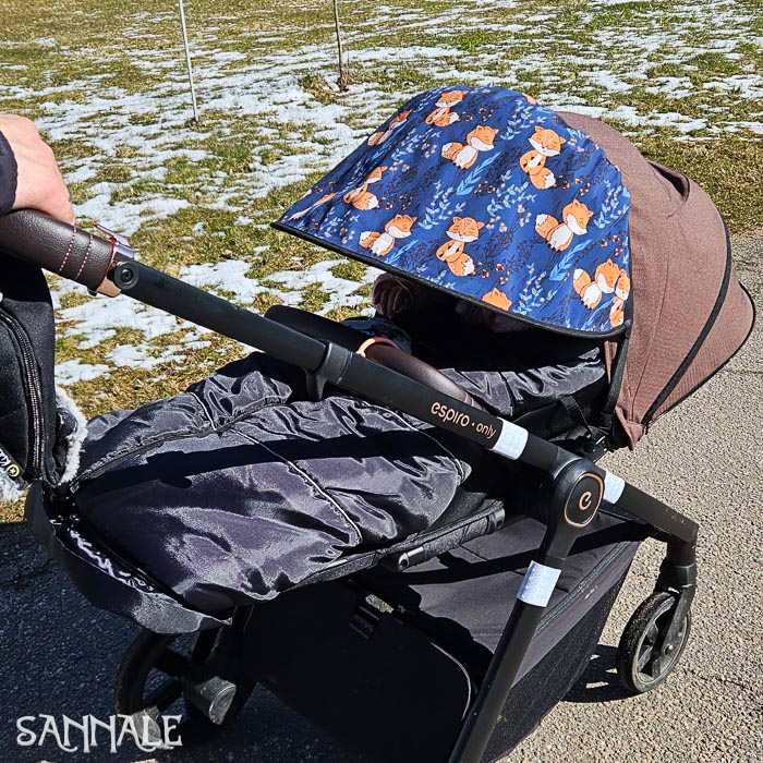 Sannale päikesenokk